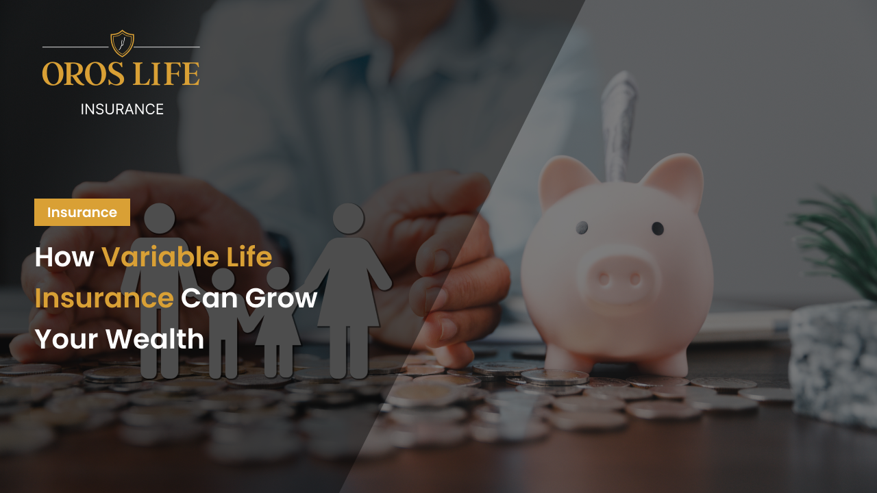 How Variable Life Insurance Can Grow Your Wealth