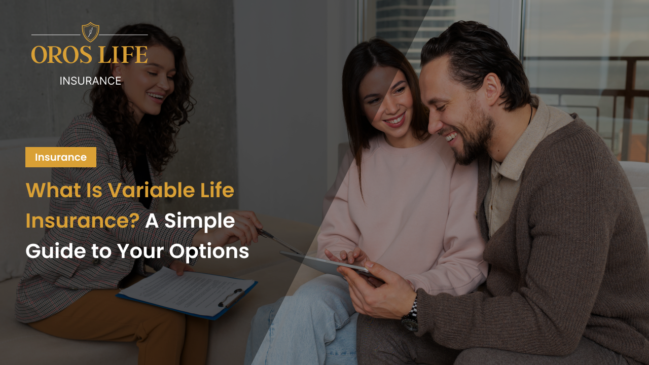 What Is Variable Life Insurance? A Simple Guide to Your Options
