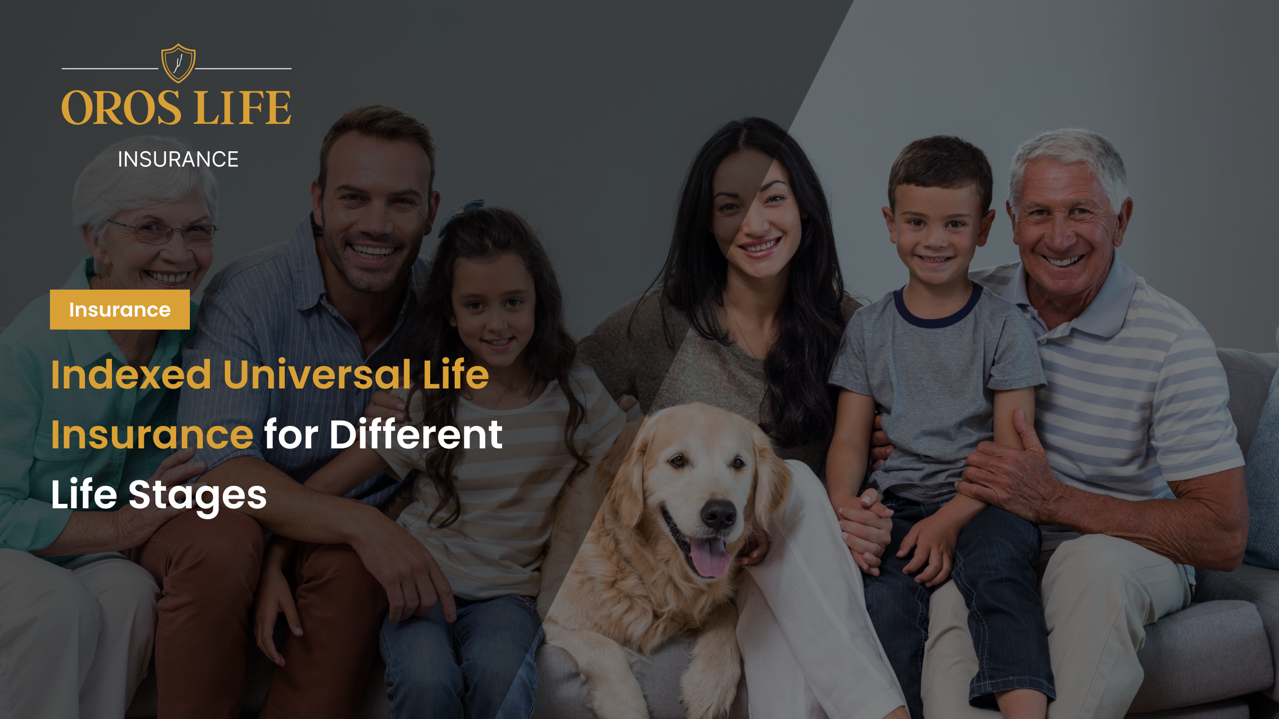 Indexed Universal Life Insurance for Different Life Stages